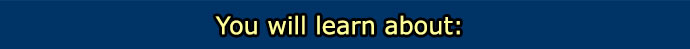 you will learn about